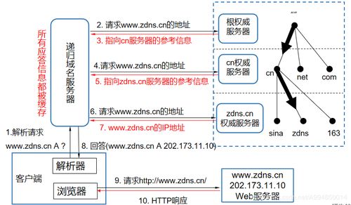 域名系統(DNS) 互聯網的“電話簿”——起源、原理與服務解析